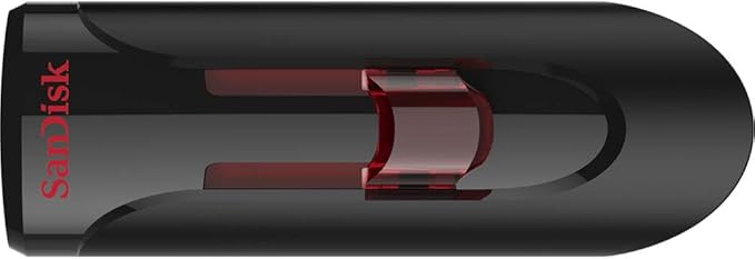 SanDisk 64GB (10 Pack) Cruzer Glide USB 3.0 Flash Drive SDCZ600-064G Bundle with (1) GoRAM Black Lanyard (64GB, 10 Pack)