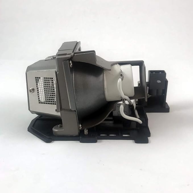 BulbAmerica Projector Lamp for Optoma PRO160S - Housing Assembly with Original OEM Bulb