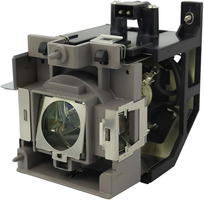 Genuine Original 5J.J2805.001 Replacement Projector Lamp/Bulb with Housing for BenQ SP890 Projector (OEM Bulb Inside)