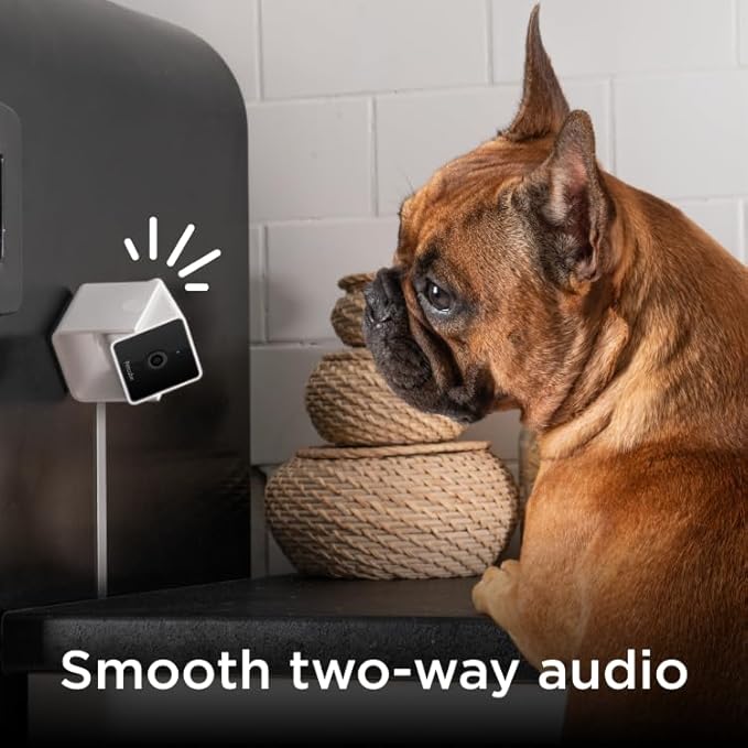 Petcube Cam Indoor Home Security Camera with 1080p HD Video, Two-Way Audio, Motion Detection, and Phone App, Night Vision Wi-Fi Camera for Apartment Security, Video Baby Monitor, Pet Camera (2pack)