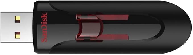SanDisk 256GB (5 Pack) Cruzer Glide USB 3.0 Flash Drive SDCZ600-256G Bundle with (1) GoRAM Black Lanyard (256GB, 5 Pack)