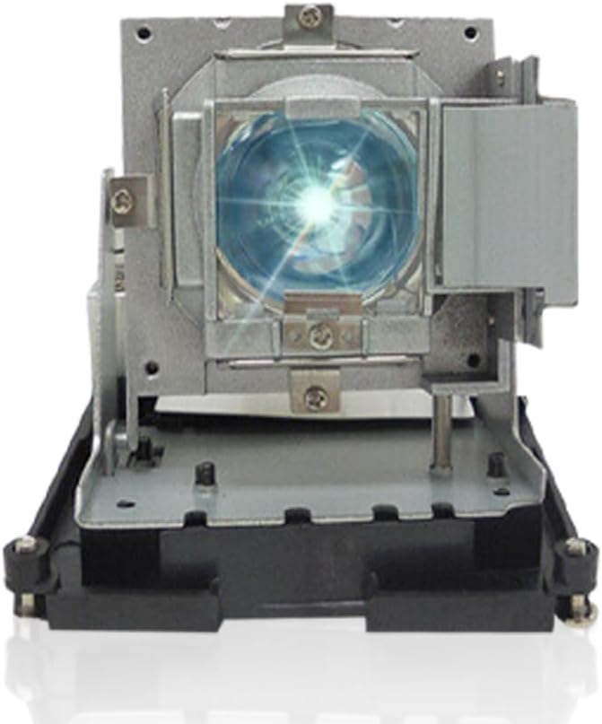 BL-FU310B / 5811118436-SOT Replacement Projector Lamp Bulb Compatible with OPTOMA DH1014 DH1017 EH500 X600 Projectors, with Housing