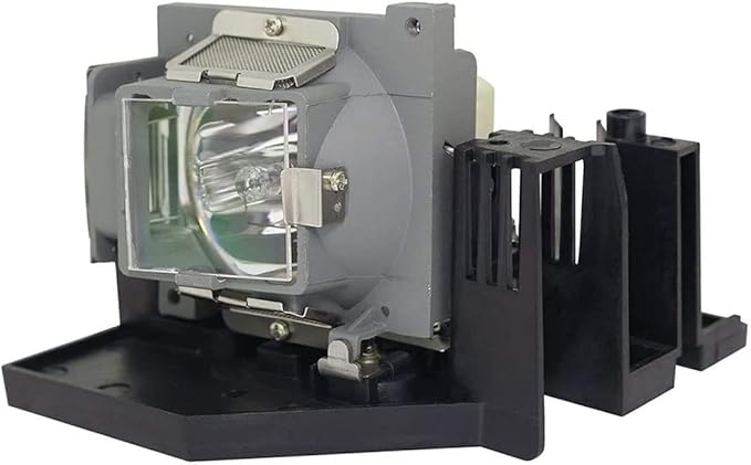 Original Genuine H1Z1DSP00009 Replacement Projector Lamp Bulb with Housing for Optoma Projector(OEM Bulb Inside)