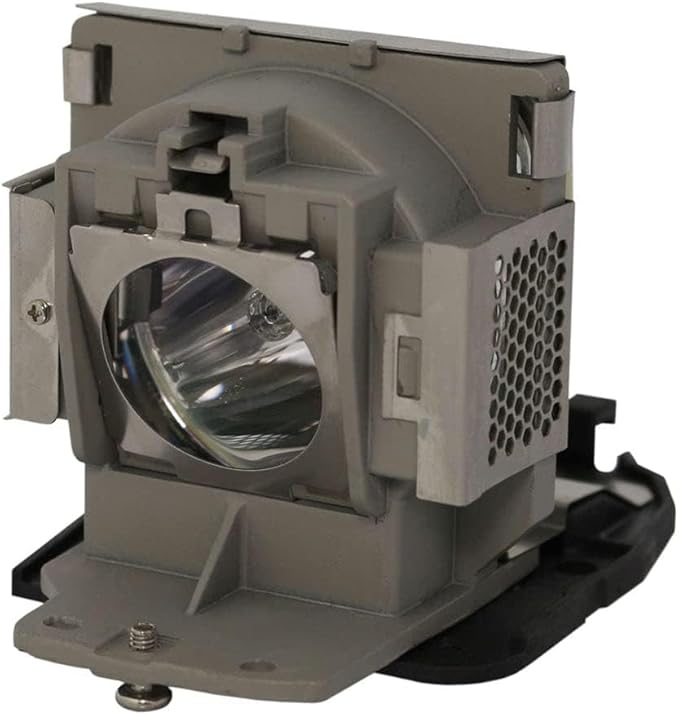 Genuine Original 5J.J1105.001 Replacement Projector Lamp/Bulb with Housing for BenQ W550 Projector (OEM Bulb Inside)