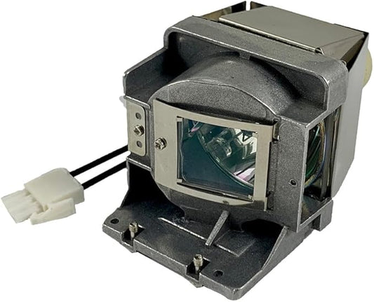 BulbAmerica Projector Lamp for Optoma W313 - Housing Assembly with Original OEM Bulb