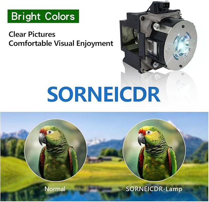 ELP LP93 Replacement Projector Lamp Bulb Compatible with Epson EB-G7000W EB-G7100/NL EB-G7200W EB-G7400U EB-G7500U/NL EB-G7800 EB-G7805U/NL EB-G7900U EB-G7905U G7200WNL Pro G7000W