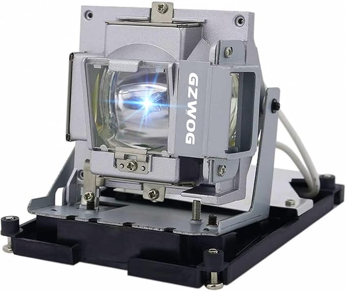 BL-FS300C 5J.J2N05.011 Quality Replacement Projector lamp for Optoma TH1060P TX779P-3D with Housing