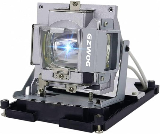 BL-FS300C 5J.J2N05.011 Quality Replacement Projector lamp for Optoma TH1060P TX779P-3D with Housing