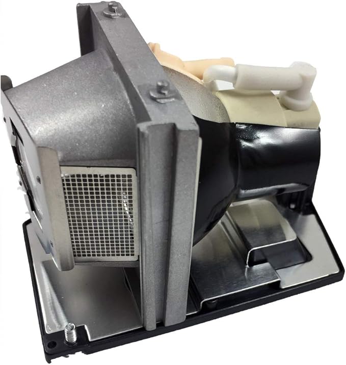 BulbAmerica Projector Lamp for Dell 725-10089 - Housing Assembly with Original OEM Bulb