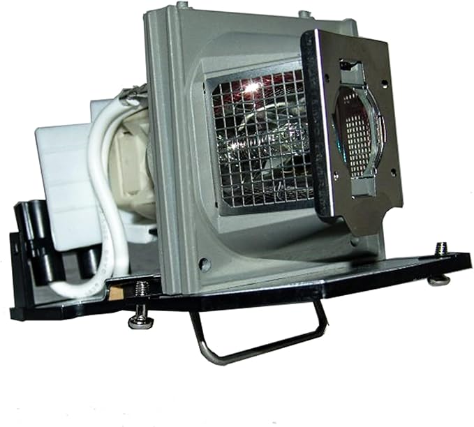 EC.J3001.001 Replacement Projector Lamp with housing for Acer PH730