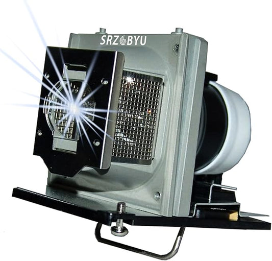 EC.J3001.001 Replacement Projector Lamp with housing for Acer PH730