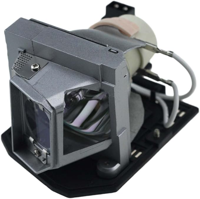 Huaute BL-FU190E BL-FU240A Replacement Projector Lamp Bulb for OPTOMA BL-FU240A DH1011 EH300 HD131X HD131Xe HD131Xw HD25 HD25-LV HD2500 HD25e HD30B SP.8RU01GC01