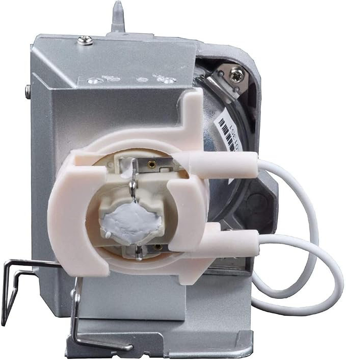 FP240G BL-FP240G Replacement Projector Lamp with Housing for Optoma HD143X HD144X HD270E HD27BE HD27E WU334 WU335 WU336 WU337 DH350 EH334 EH335 EH336 EH337 Projectors (Brown)