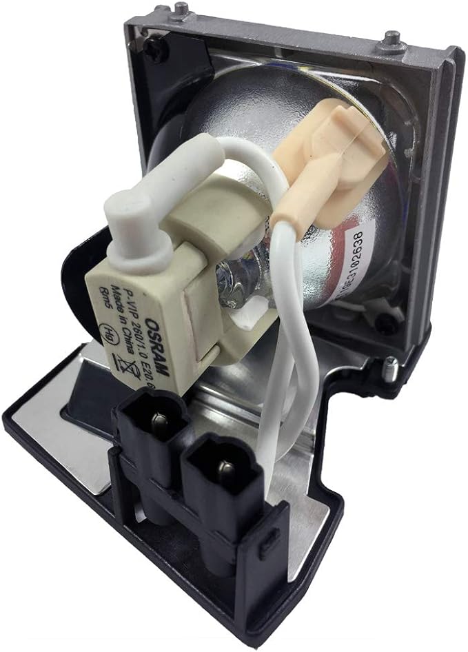 BulbAmerica Projector Lamp for Dell 725-10089 - Housing Assembly with Original OEM Bulb