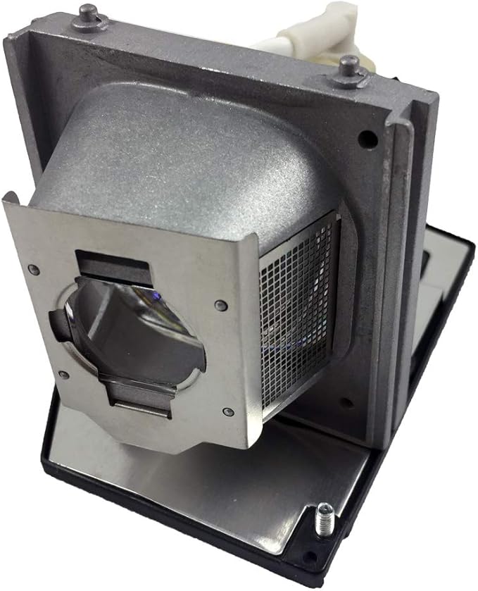 BulbAmerica Projector Lamp for Dell 725-10089 - Housing Assembly with Original OEM Bulb