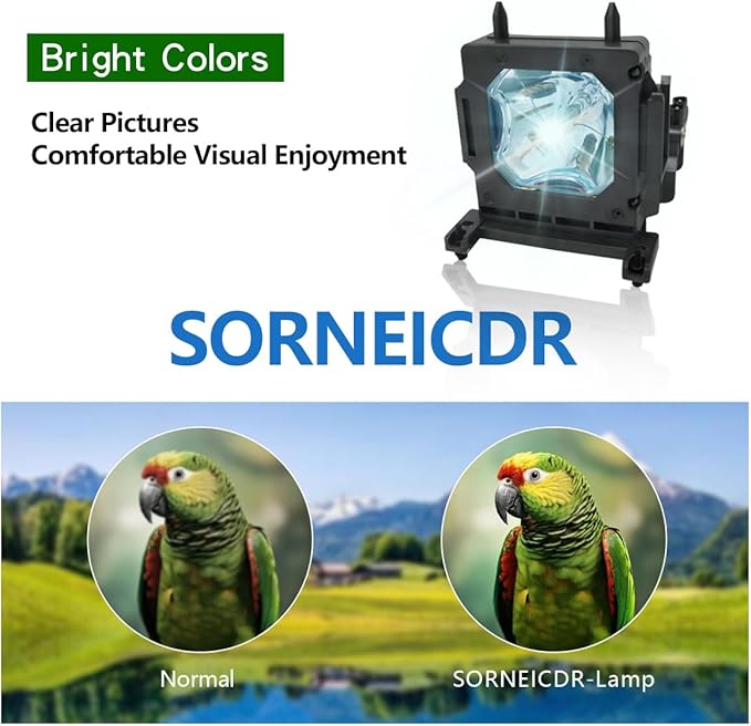 LMP-H210 Replacement Projector Lamp Bulb Compatible with Sony VPL-HW45ES VPL-HW65ES VPL-HW45EW, with Housing