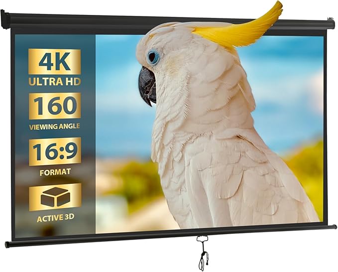 SUPER DEAL 100'' 16:9 HD Projection Screen Foldable Anti-Crease Portable Projector Movie Screen Manual Pull Down for Home Theater Presentation Education Outdoor Indoor Public Display, Black