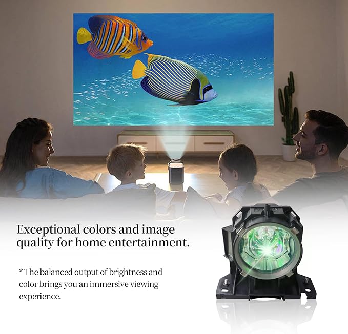 DT00873/SP LAMP-046 Replacement Projector Lamp Bulb Compatible with Hitachi CP-SX635 CP-WUX645 CP-WUX645N CP-WX625 CP-WX625W CP-WX645 CP-X809 INFOCUS IN5104 IN5108 IN5110 Projectors