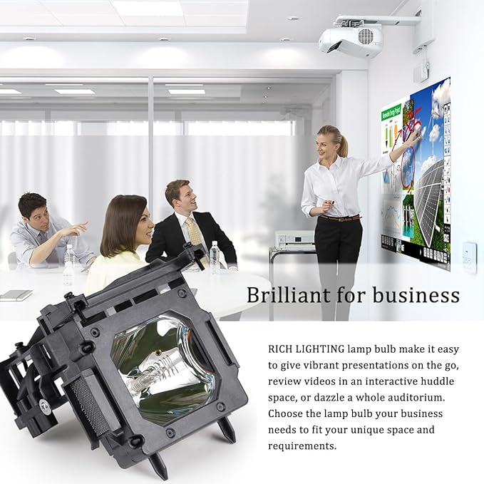 Projector Lamp Bulb LMP-H210 Replacement for Sony VPL-HW45 VPL-HW45ES VPL-HW65 VPL-HW65Es VPL-VW65ES Projector Bulb
