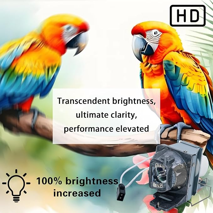 BL-FP240E SP.78V01GC01 Replacement Projector Lamp Bulb for UHD50 UHD60 UHD65 UHD51A UHD40 UHD51 UHD300X UHD550X UHD400X UHD30 UHD51/A Projector Lamp with Housing