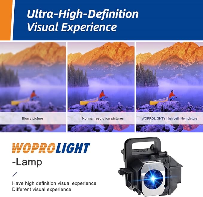 V13H010L49 for Epson-elp lp49 PowerLite Home Cinema 8350 /PowerLite Home Cinema 8700UB 8500UB, H373A H336A, PowerLite PC 9700UB 9500UB 9350 9100 Replacement Projector Lamp Bulb with Housing