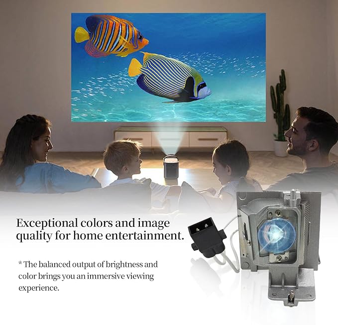 BL-FU195A/BL-FU195C/SP.72G01GC01 Replacement Projector Lamp Bulb Compatible with OPTOMA HD142X HD27 EH345 H183X S341 S340 W331 TW342 Projectors, with Housing