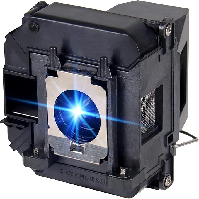 V13H010L60 Compatible with Epson-elp lp60 EB-2020 EB-2060 EB-420 H384A H387A H387B H387C H447A BrightLink 425Wi PowerLite 420 Replacement Projector Lamp Bulb with Housing