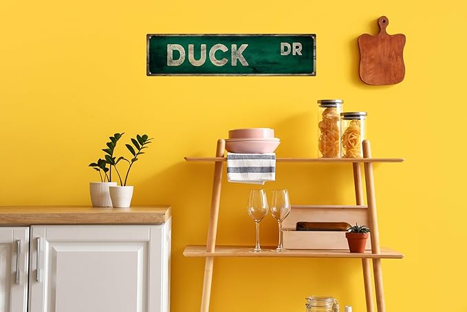 Vintage Tin Sign Retro Metal Duck DR Signs Stylish Wall Art Plaques for Home Decor Bathroom Kitchen House and Gothic Wall Decor or as a Unique Poster 16x4 in