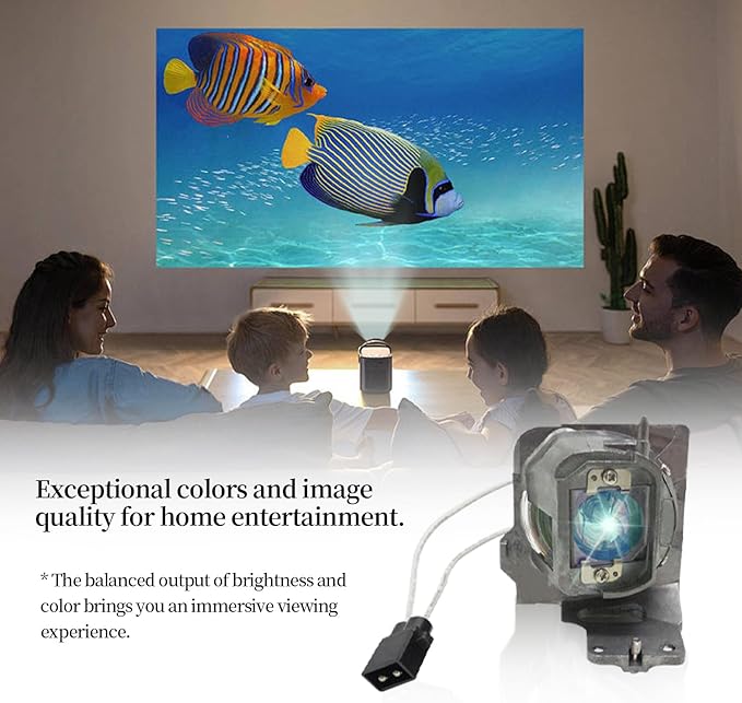 BL-FU200E / SP.7EH01GC01 Replacement Projector Lamp Bulb Compatible with OPTOMA DH334 HD27H HD27HDR HD27LV-4K HD29H Projectors, with Housing