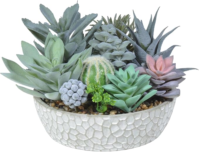 Premium Assorted Artificial Succulent Collection - Large Real Touch Artificial Cactus, Aloe Vera & Succulent Plants Artificial with Pots for Home Office Indoor (Artificial Glass - Pot)