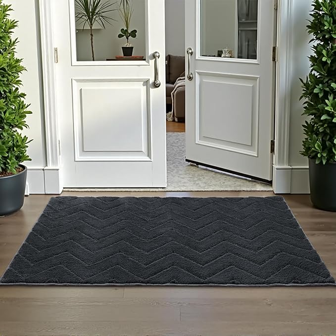 Stiio Dirt Trapper Door Mat 24x35.5 Inches, Front Doormat Indoor Outdoor Entrance Low Pile, All-Season, All-Weather Absorbent Entry Rug, Washable Non Slip Rug for Entryway, Dark Grey