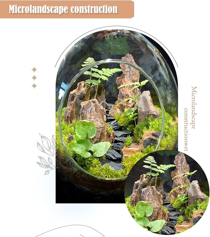 Aquarium Rocks Dragon Stone Natural Hardscape Stone for Aquariums, Fish Tanks, Bonsai, Terrariums, Wargaming Dioramas, Indoor or Outdoor Gardens-5Lb(2-6 Inch)