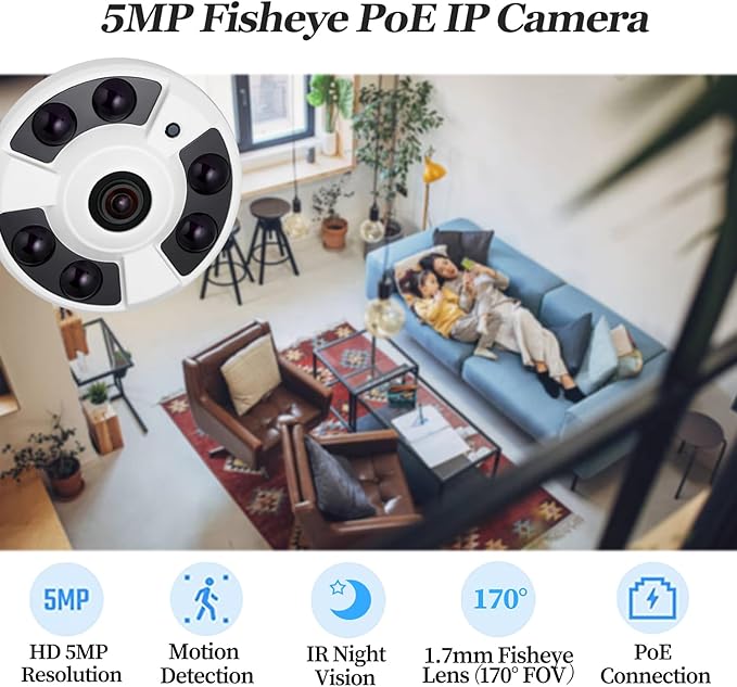 5MP Fisheye POE IP Camera, 1.7mm Lens(170° FOV), 6 Array IR LED Night Vision, Indoor Dome Surveillance Cam Motion Detection, PC/Phone App(IF02-P-TS)