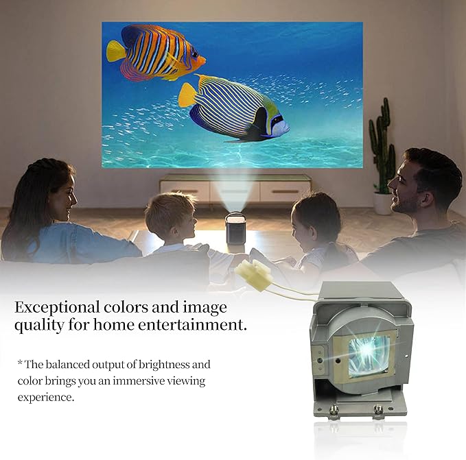 RLC-072 Replacement Projector Lamp Bulb Compatible with Viewsonic PJD5133 PJD5123 PJD5233 PJD5523W PJD5223 PJD5353 PJD5113 PJD5133-1W Pro6200 Projector Lamp Bulb with Housing