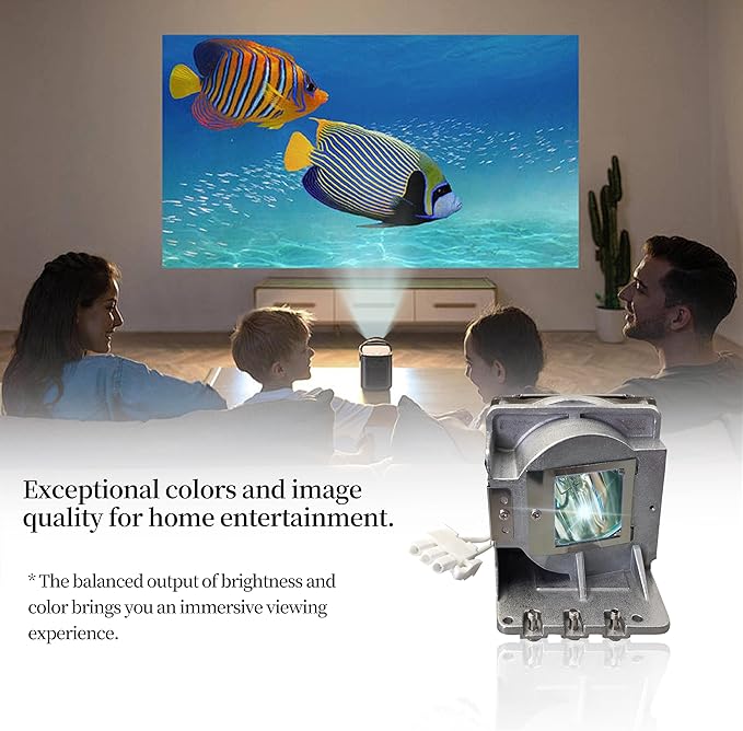 SP LAMP-086/5J.JEL05.001/BL-FP190C Replacement Projector Lamp Bulb Compatible with INFOCUS IN112A, IN114A, IN114STa, IN116A, IN118HDa, IN118HDSTA/OPTOMA DS311, DS331, H111, H181X Projectors