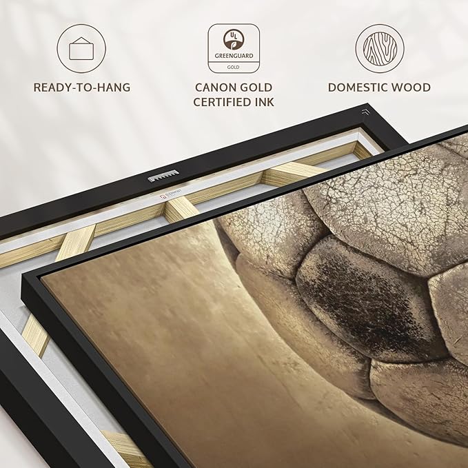 Elephant Stock Worn Soccer Ball Wall Art - Horizontal Framed Canvas - 1-Piece Living Room Wall Decor - Photography sports Canvas Print - Brown and Gray Decor for Wall - 25" X 17"