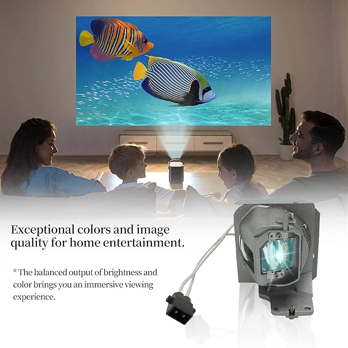 BL-FP240E/SP.78V01GC01 Replacement Projector Lamp Bulb Compatible with Optoma HD143X HD243X HD27E UHD60 UHD30 UHD50 UHD50X UHD51 UHD51A UHD52ALV HD39darbee HD144X WU336 EH334 EH335