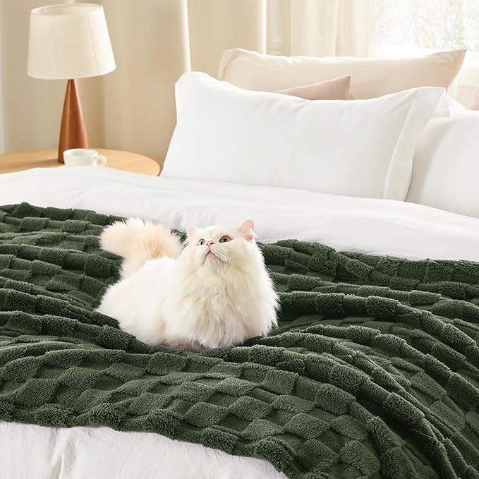 Bedsure GentleSoft Blankets Queen Size for Bed - Super Soft Cozy Blanket for Women Men Girls, Large Fuzzy Fleece Throw for Bedroom Decor, Bronze Green, 90x90 Inches