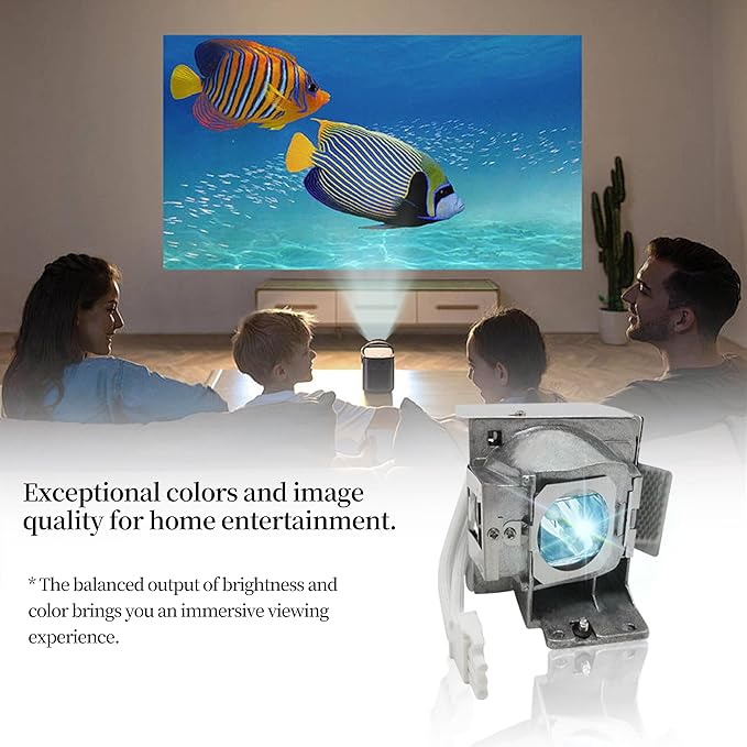 RLC-085 RLC-078 Replacement Projector Lamp Bulb Compatible with Viewsonic PJD5533W PJD6543W PJD5134 PJD5132 PJD6235 PJD6245 PJD5234L PJD5232L PJD6246 Projector Lamp Bulb with Housing
