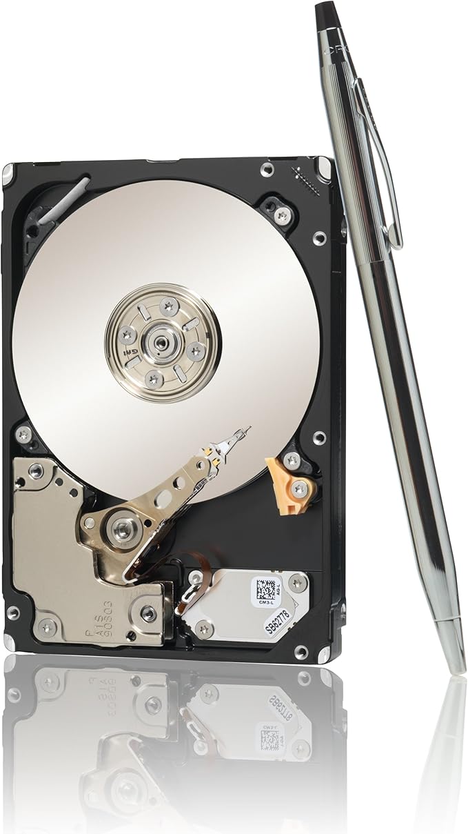 Seagate Savvio 10K.5 300 GB 10000 RPM SAS 6-Gb/S 64MB Cache 2.5-Inch Internal Bare Drive (ST9300605SS)