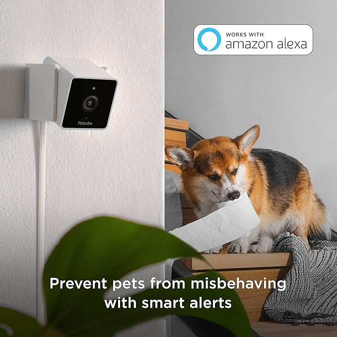 Petcube Cam Indoor Home Security Camera with 1080p HD Video, Two-Way Audio, Motion Detection, and Phone App, Night Vision Wi-Fi Camera for Apartment Security, Video Baby Monitor, Pet Camera (2pack)
