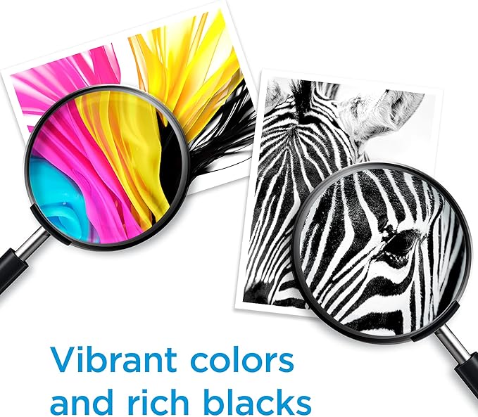 HP 67 Black Ink Cartridge | Works with DeskJet 1255, 2700, 4100 and Envy 6000, 6400 Series, Eligible for Instant Ink, 3YM56AN | Packaging May Vary