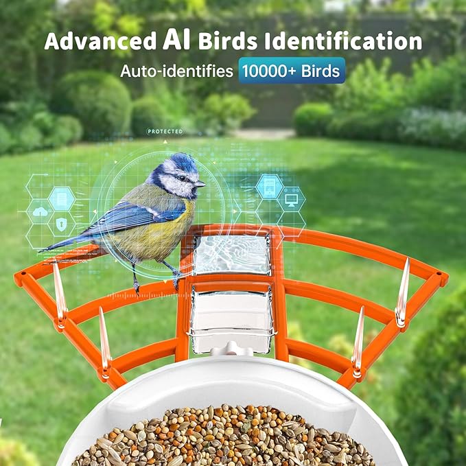 Smart Bird Feeder with Camera Solar Powered & AI Bi rd Identification, 2.4Ghz WiFi Bird feeders for Outdoors, 2K Live Video, Nstant Arrival Alerts - Orange