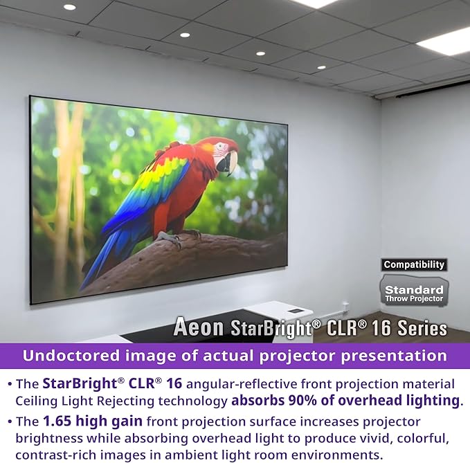 Elite Screens 123" Fixed Frame Projector Screen 16:9, 4K/8K UHD, Edge-Free ALR, 1.65 Gain, 90% Ceiling Light Rejecting, AR123H2-SBCLR16
