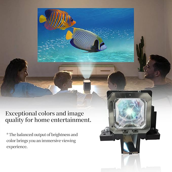 PK-L2210UP PK-L2210U Replacement Projector Lamp Bulb Compatible with JVC DLA-RS45U DLA-RS45 DLA-RS55 DLA-RS30 DLA-X30 DLA-X7 DLA-X3, with Housing