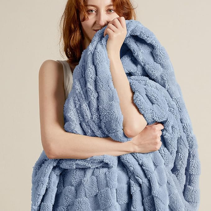 Bedsure GentleSoft Twin Blanket for Bed Ashley Blue - Super Soft Cozy Blankets for Women Men Girls, Cute Fuzzy Fleece Throws for Bedroom Couch, 60x80 Inches