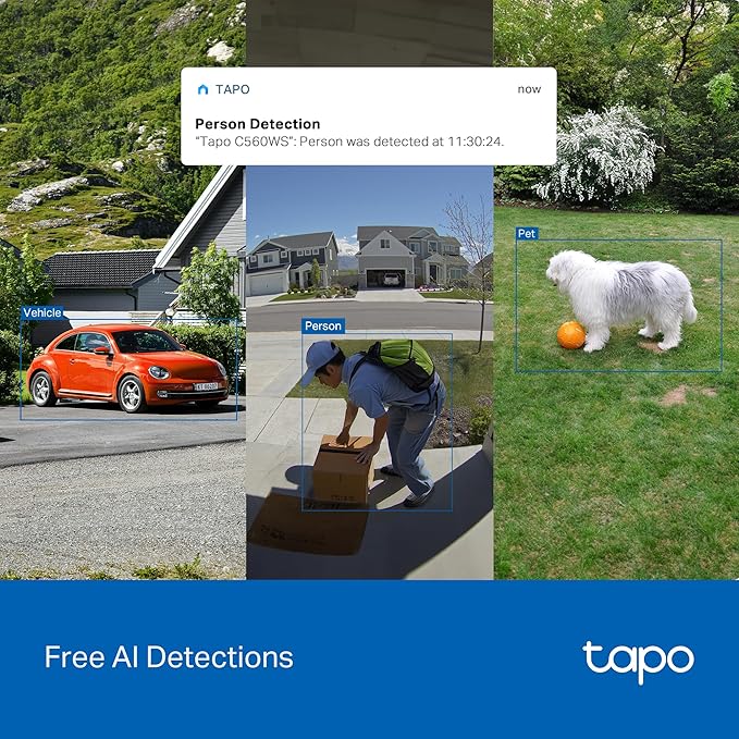 Tapo 4K 8MP Wired Pan/Tilt Outdoor Security Camera, Free Person/Vehicle Detect & 360° View, Color Night, Local AI, SD/Cloud Storage, Works w/Alexa & Google Home, 2.4 GHz WiFi C560WS